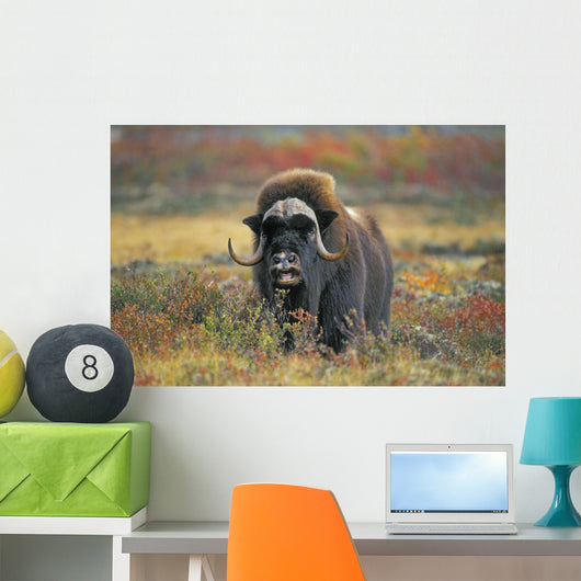 Tk0034, Thomas Kitchin Wall Mural