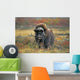Tk0034, Thomas Kitchin Wall Mural