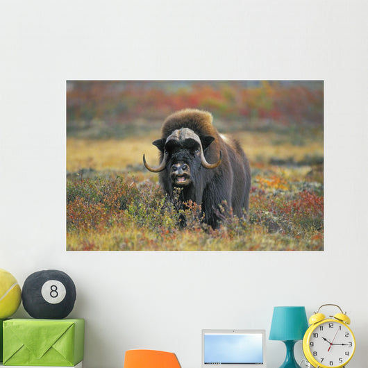 Tk0034, Thomas Kitchin Wall Mural