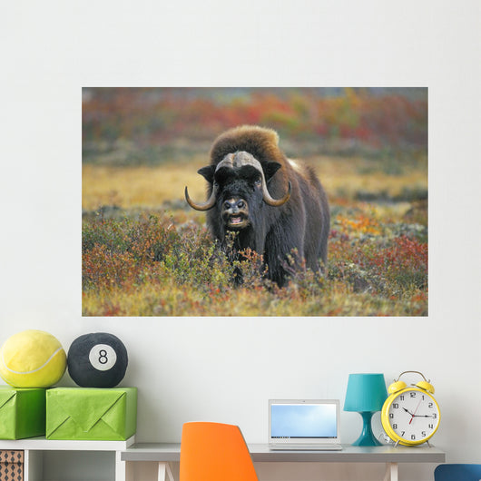 Tk0034, Thomas Kitchin Wall Mural
