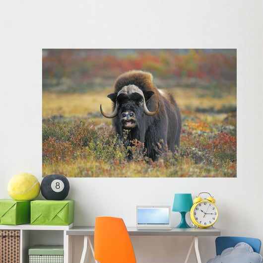 Tk0034, Thomas Kitchin Wall Mural