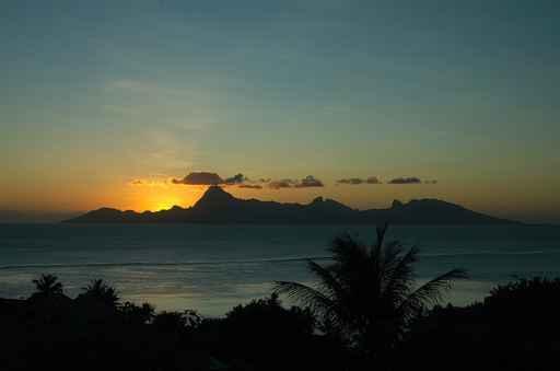 Twilight Moorea Wall Decal