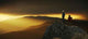Looking Sunset Wall Decal