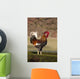 Rooster Wall Mural