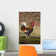 Rooster Wall Mural