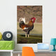 Rooster Wall Mural