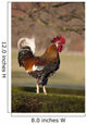 Rooster Wall Mural