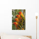 Orange Parakeets Wall Mural