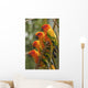 Orange Parakeets Wall Mural