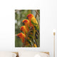 Orange Parakeets Wall Mural