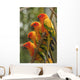 Orange Parakeets Wall Mural