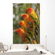 Orange Parakeets Wall Mural
