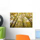 Fall Foliage On The Trees Wall Mural