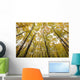 Fall Foliage On The Trees Wall Mural