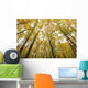 Fall Foliage On The Trees Wall Mural