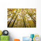 Fall Foliage On The Trees Wall Mural
