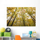 Fall Foliage On The Trees Wall Mural