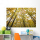 Fall Foliage On The Trees Wall Mural