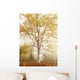 Birch Trees In Autumn Wall Mural