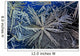 Extreme Close Up Of Frost Crystal With Colourful Lighting Wall Mural