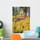 Autumn Colours Add Beauty To Umbrella Falls Wall Mural