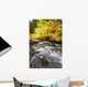 Autumn Colours Along Santiam River In Willamette National Forest Wall Mural