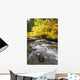Autumn Colours Along Santiam River In Willamette National Forest Wall Mural