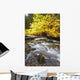Autumn Colours Along Santiam River In Willamette National Forest Wall Mural