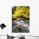 Autumn Colours Along Santiam River In Willamette National Forest Wall Mural