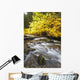 Autumn Colours Along Santiam River In Willamette National Forest Wall Mural