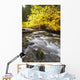 Autumn Colours Along Santiam River In Willamette National Forest Wall Mural