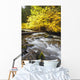 Autumn Colours Along Santiam River In Willamette National Forest Wall Mural