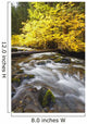 Autumn Colours Along Santiam River In Willamette National Forest Wall Mural