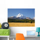 Mount Hood Wall Mural