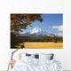 Mount Hood And Autumn Colours In Hood River Valley Wall Mural