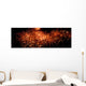 Fireworks Wall Mural