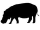 Silhouette Hippopotamus