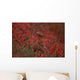 Tk16015D, Willow Ptarmigan On The Tundra, Camouflage Wall Mural