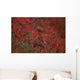 Tk16015D, Willow Ptarmigan On The Tundra, Camouflage Wall Mural