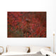 Tk16015D, Willow Ptarmigan On The Tundra, Camouflage Wall Mural