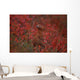 Tk16015D, Willow Ptarmigan On The Tundra, Camouflage Wall Mural