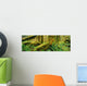 Hoh Temperate Rain Forest, Olympic Np, Wa Wall Mural