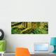Hoh Temperate Rain Forest, Olympic Np, Wa Wall Mural