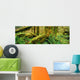 Hoh Temperate Rain Forest, Olympic Np, Wa Wall Mural