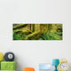 Hoh Temperate Rain Forest, Olympic Np, Wa Wall Mural