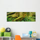 Hoh Temperate Rain Forest, Olympic Np, Wa Wall Mural