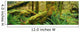 Hoh Temperate Rain Forest, Olympic Np, Wa Wall Mural