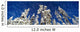 Scenic, Winter, Grouse Mtn, North Vancouver, Bc Wall Mural