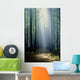 T Bonderud Wall Mural