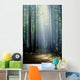 T Bonderud Wall Mural